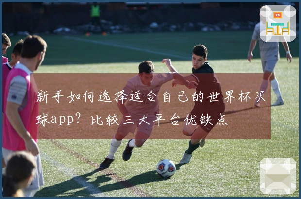 新手如何选择适合自己的世界杯买球app？比较三大平台优缺点