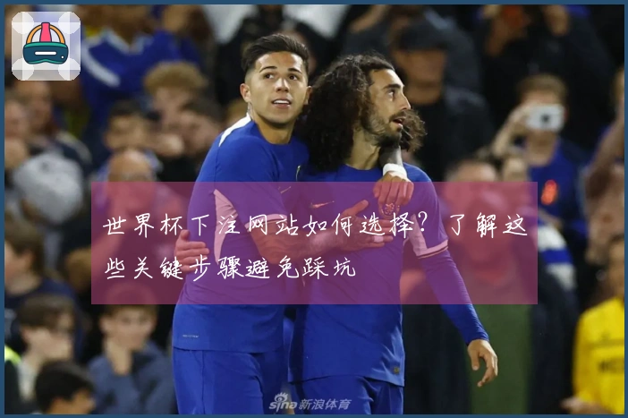 世界杯下注网站如何选择？了解这些关键步骤避免踩坑