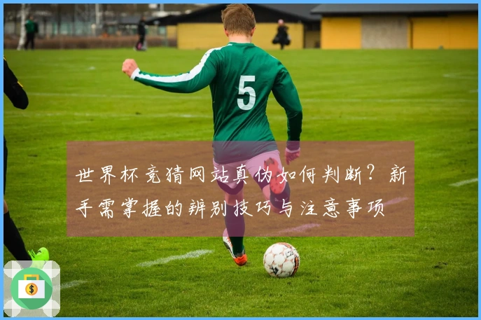 世界杯竞猜网站真伪如何判断？新手需掌握的辨别技巧与注意事项