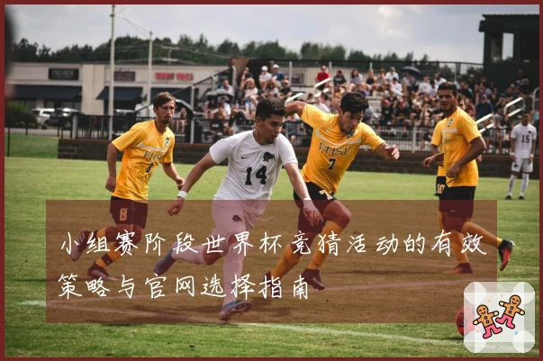 小组赛阶段世界杯竞猜活动的有效策略与官网选择指南