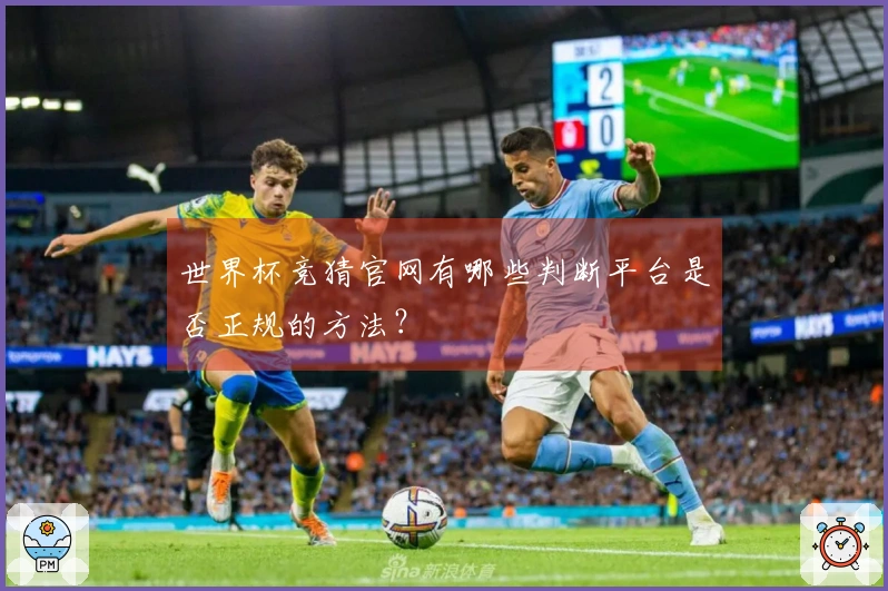 世界杯竞猜官网有哪些判断平台是否正规的方法？