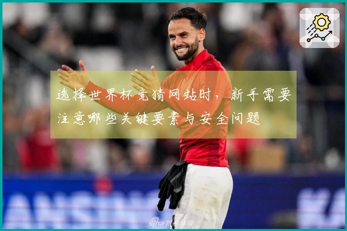 选择世界杯竞猜网站时，新手需要注意哪些关键要素与安全问题