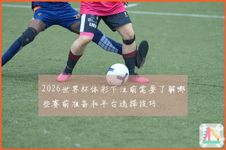2026世界杯下注平台哪个好福彩体彩的区别和选择指南